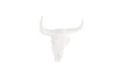 Bison Skull (small) 9 Bison Skull (small) -Cozy Home Shop 29.08.2023 485 2q0j bq