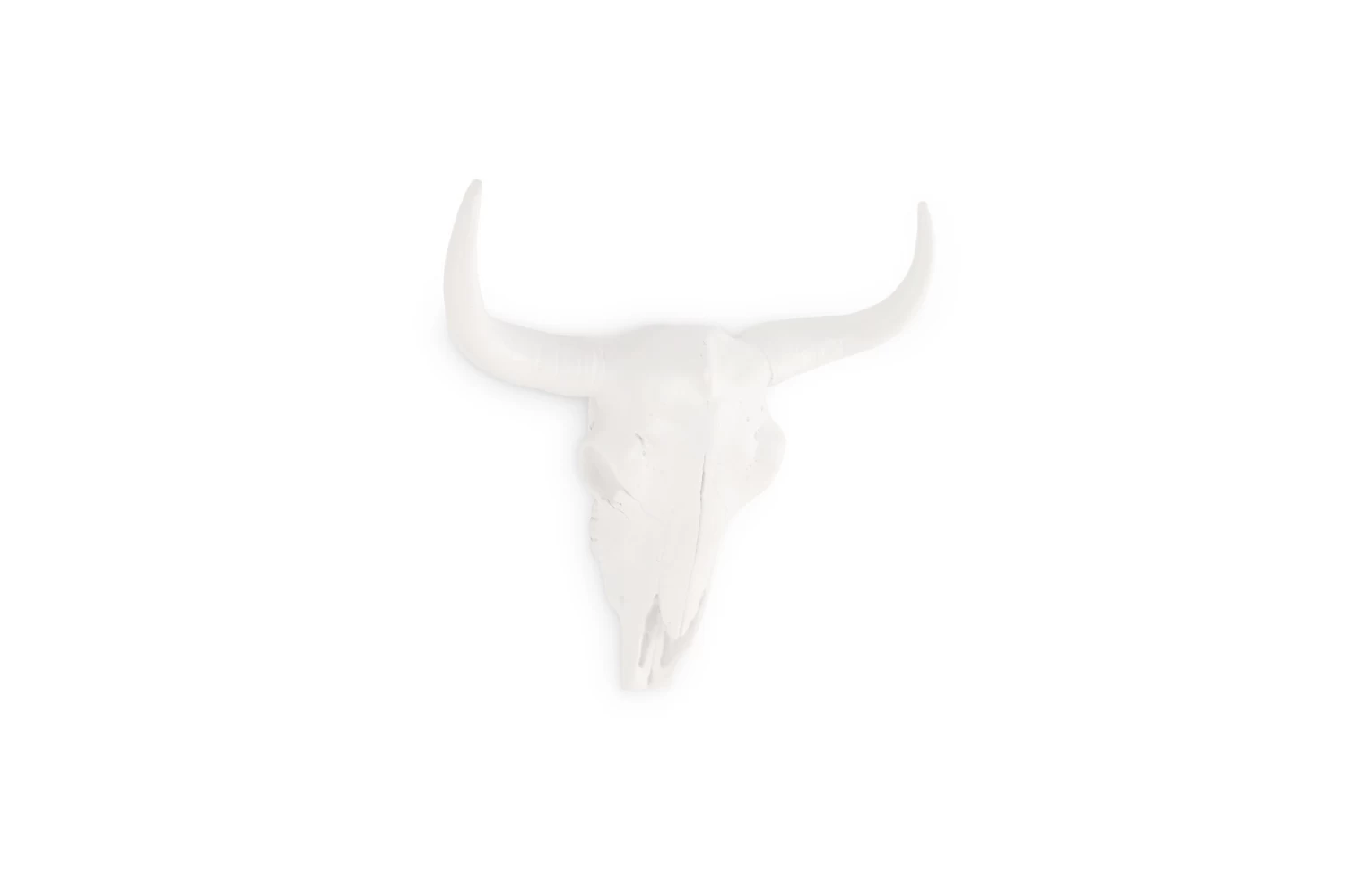 Bison Skull (small) 3 Bison Skull (small) - Image 3