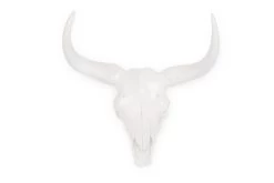 Bison Skull (large)