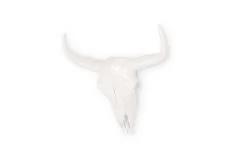 Bison Skull (small) 10 Bison Skull (small) -Cozy Home Shop 29.08.2023 563 9lej u1
