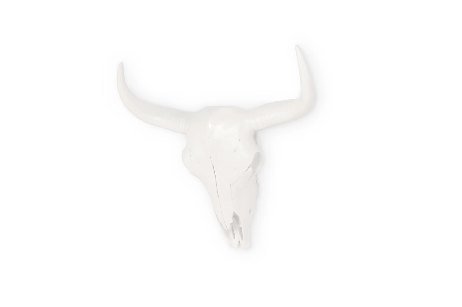 Bison Skull (small) 4 Bison Skull (small) - Image 4