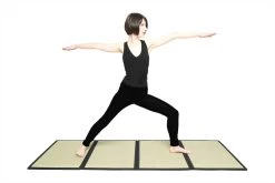 Folding Tatami Mat