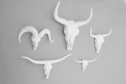 Bison Skull (small) 12 Bison Skull (small) -Cozy Home Shop Animal heads on grey background 2