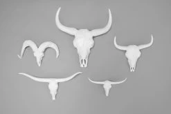 Bison Skull (small) 11 Bison Skull (small) -Cozy Home Shop Animal heads on grey background v2