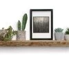 Bark Edge Shelf