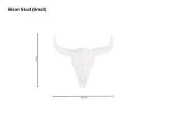 Bison Skull (small) 13 Bison Skull (small) -Cozy Home Shop Bison Skull small