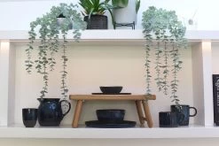 Dapple Glaze Jug -Cozy Home Shop Dapple LF Bromley m1k5 va