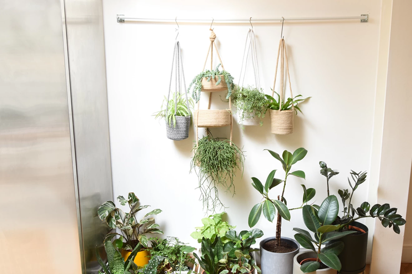 Cozy Home Shop -Cozy Home Shop FC Bayonne Hanging Basket Lifestyle 2 v2 9cp1 m8