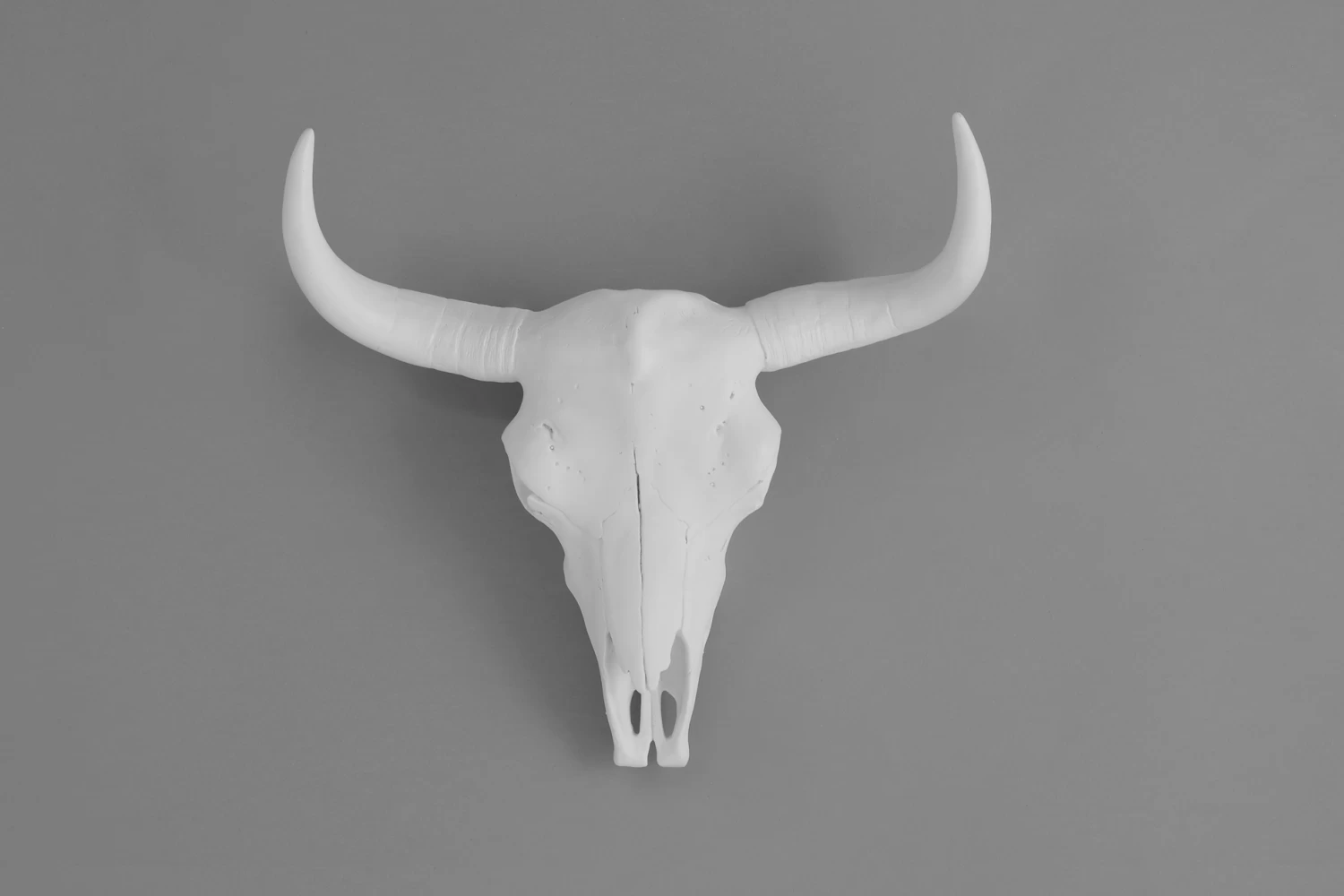 Bison Skull (small) 2 Bison Skull (small) - Image 2