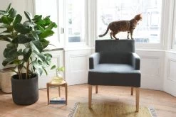 Darbey Chair (grey) -Cozy Home Shop FC Darbey Chair Grey LS NV 1