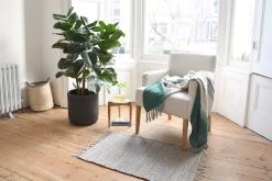 Darbey Chair (natural) -Cozy Home Shop FC Darbey Chair Natural Lifestyle cropped 3