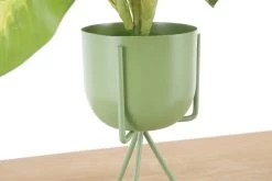 Enamel Pot & Tripod Plant Stand - Medium (Aspen Green) 9 Enamel Pot & Tripod Plant Stand - Medium (Aspen Green) -Cozy Home Shop FC Enamel Pot Tripod Plant Stand Aspen Green cropped 1