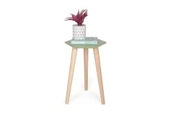 Hex Table (Aspen Green) -Cozy Home Shop FC Hex Side table Aspen Green 5