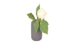 Pippin Vase