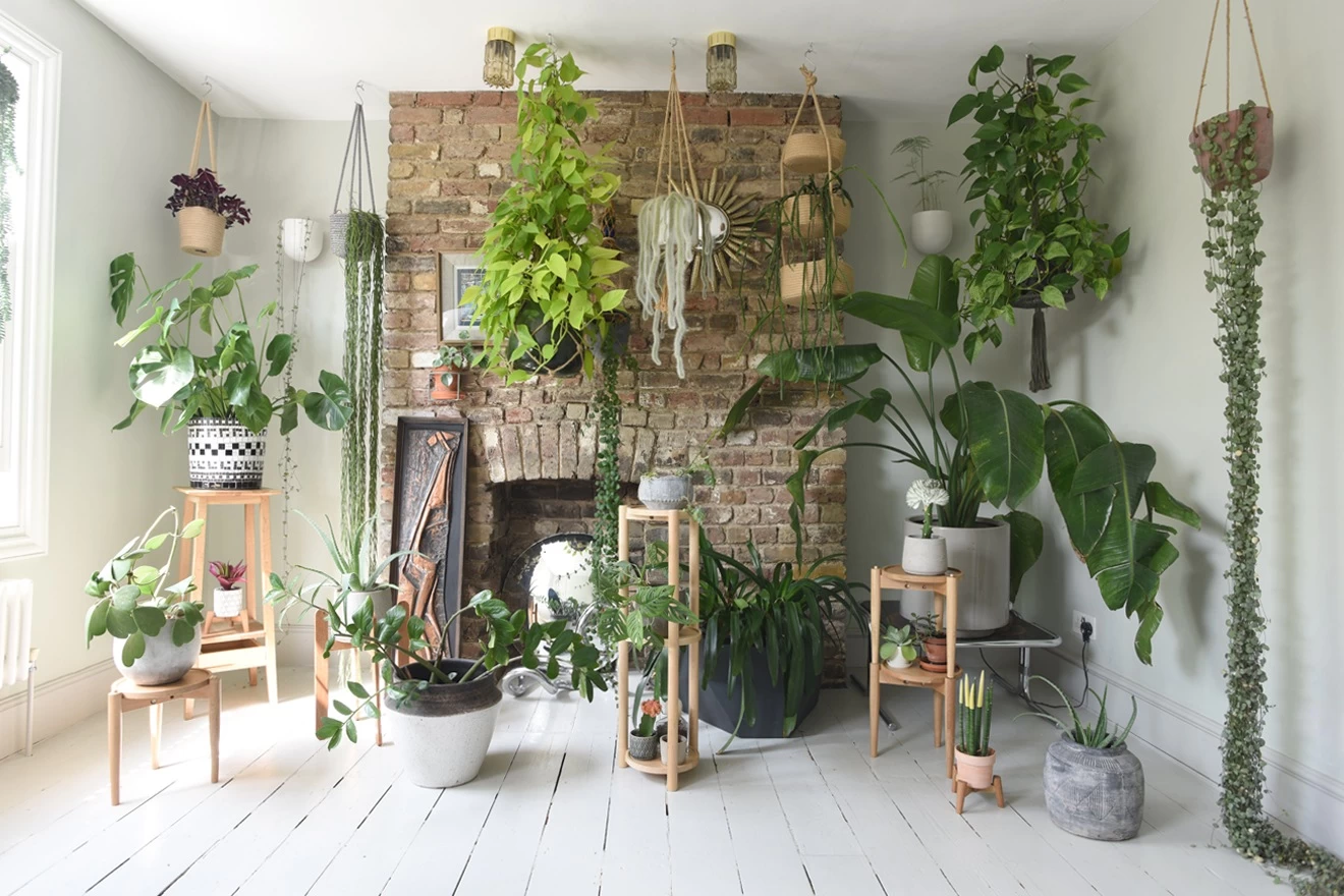 Plex Triple Plant Stand 6 Plex Triple Plant Stand - Image 6