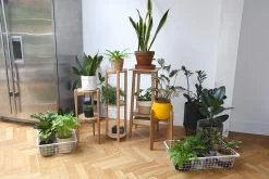 Oak Plant Stand 12 Oak Plant Stand -Cozy Home Shop FC Plex Plant Stand LF NV 2