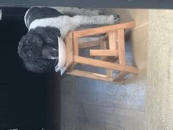 Oak Step Stool 6 Oak Step Stool -Cozy Home Shop IMG 7706