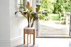 Oak Plant Stand 11 Oak Plant Stand -Cozy Home Shop Plant pot stand 12 09 2019